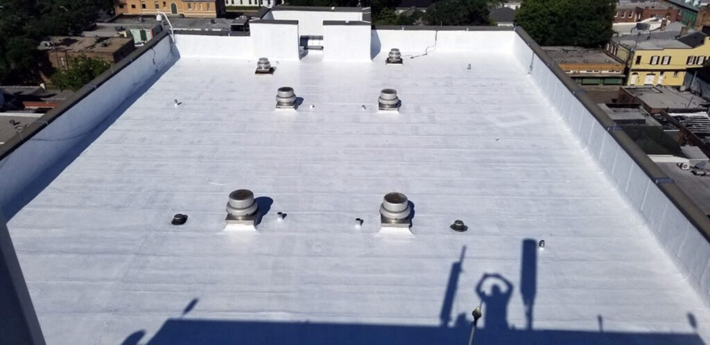Leaking Roof: How to Assess and Repair Damage